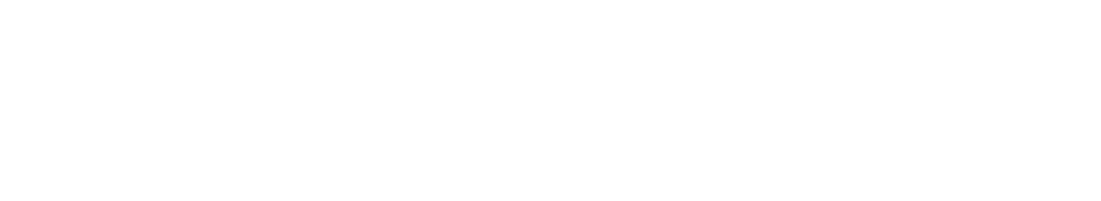 bravlio